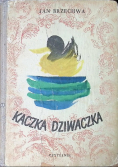 Kaczka dziwaczka