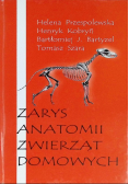 Zarys anatomii zwierząt domowych