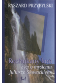 Rozhukany koń
