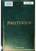 Historia Literatury Polskiej Tom VI Pozytywizm