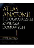 Atlas anatomii topograficznej zwierząt domowych Tom I