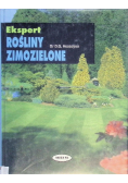 Rośliny zimozielone