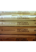 Anatomia człowieka Tom I do V