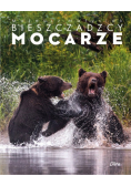Bieszczadzcy mocarze