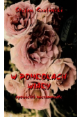 W pomrokach wiary