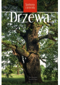 Drzewa. Spotkania z przyrodą