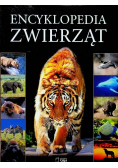 Encyklopedia Zwierząt