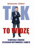 Tak to widzę