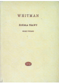 Whitman Źdźbła trawy