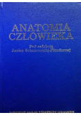 Anatomia człowieka