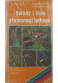 Owady i inne stawonogi lądowe Encyklopedia kieszonkowa