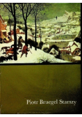 Piotr Bruegel Starszy
