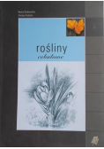 Rośliny cebulowe