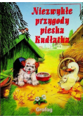 Niezwykłe przygody pieska Kudłatka