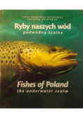 Ryby naszych wód