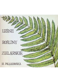 Leśne rośliny zielarskie