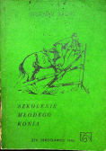 Szkolenie młodego konia