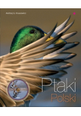 Ptaki Polski