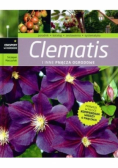 Clematis i inne pnącza ogrodowe