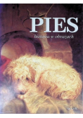 Pies historia w obrazach