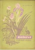 Rośliny w różnych porach roku