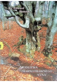 Modlitwa marnotrawnego syna