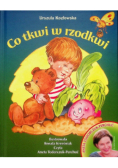 Co tkwi w rzodkwi