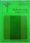 Hodowla roślin warzywnych