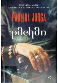 Pachan
