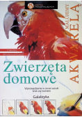 Malujemy akwarelą Zwierzęta domowe