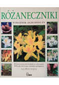 Różaneczniki poradnik ogrodniczy