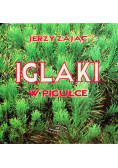 Iglaki W Pigułce