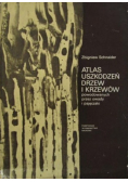 Atlas uszkodzeń drzew i krzewów