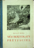 Mój Skrzydlaty przyjaciel ,1931 r.