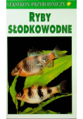 Ryby słodkowodne