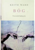 Bóg przewodnik błądzących