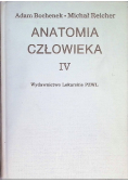 Anatomia człowieka Tom V