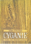 Cyganie studia nad przestępczością