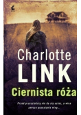 Ciernista róża