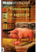 Weterynarz w zaprzęgu