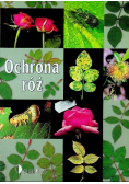 Ochrona róż