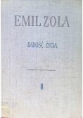Radość życia