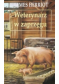Weterynarz w zaprzęgu