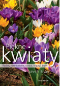 Piękne kwiaty Rośliny rozmnażane  z cebul kłączy i bulw