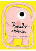 Pomelo rośnie