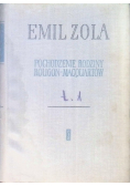 Pochodzenie rodziny Rougon MacQuartów