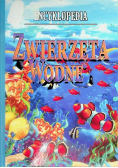 Encyklopedia Zwierzęta Wodne