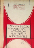 Czynnik ludzki w zapobieganiu wypadkom przy pracy w przemyśle