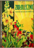 Ziołolecznictwo Nasze zioła i leczenie się nimi 1938 r.