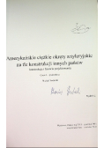 Amerykańskie ciężkie okręty artyleryjskie na tle konstrukcji innych państw Tom 1